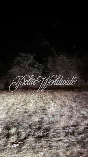 Polite Worldwide