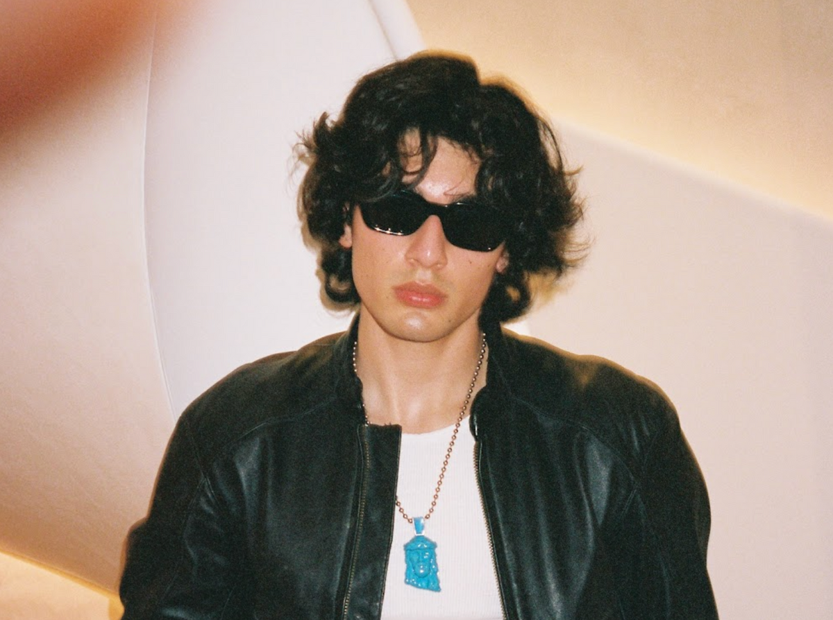 THE MUSE SUNGLASSES