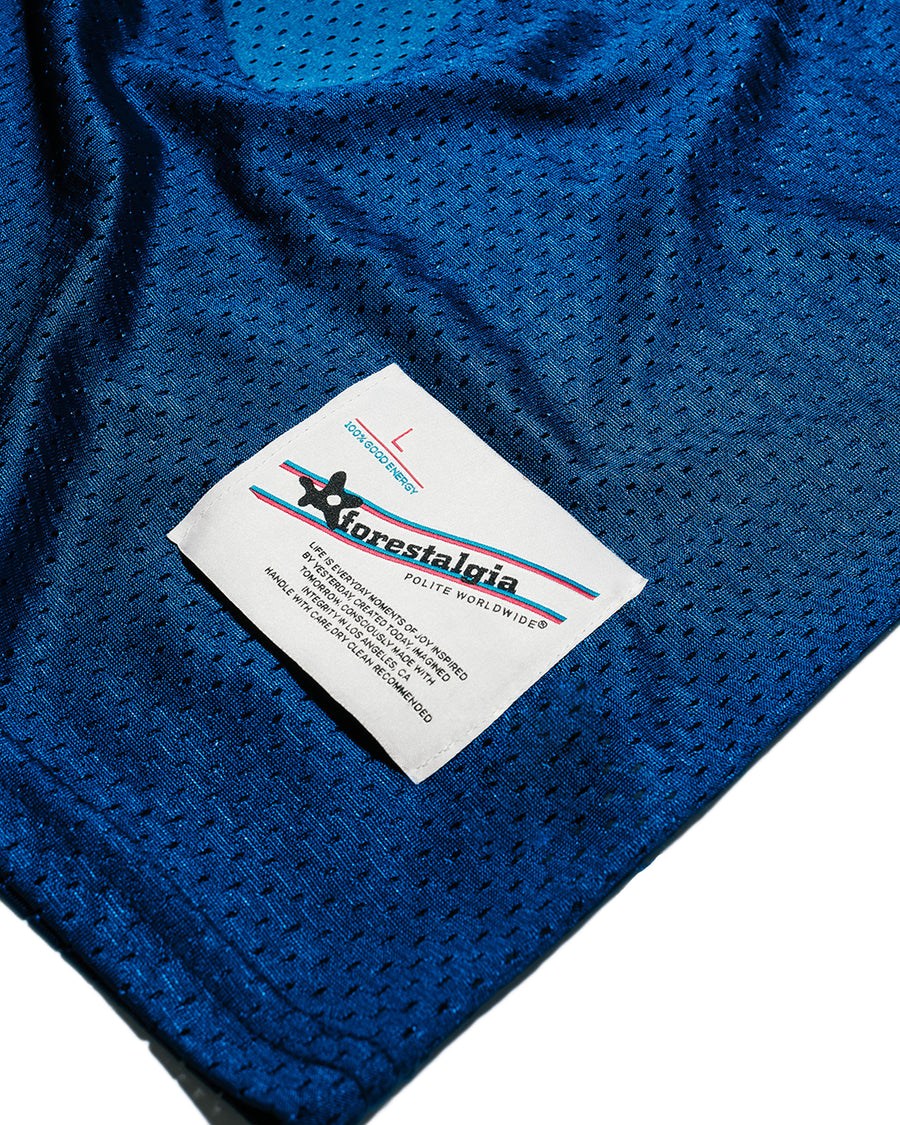 Practice Jersey Forestalgia Blue