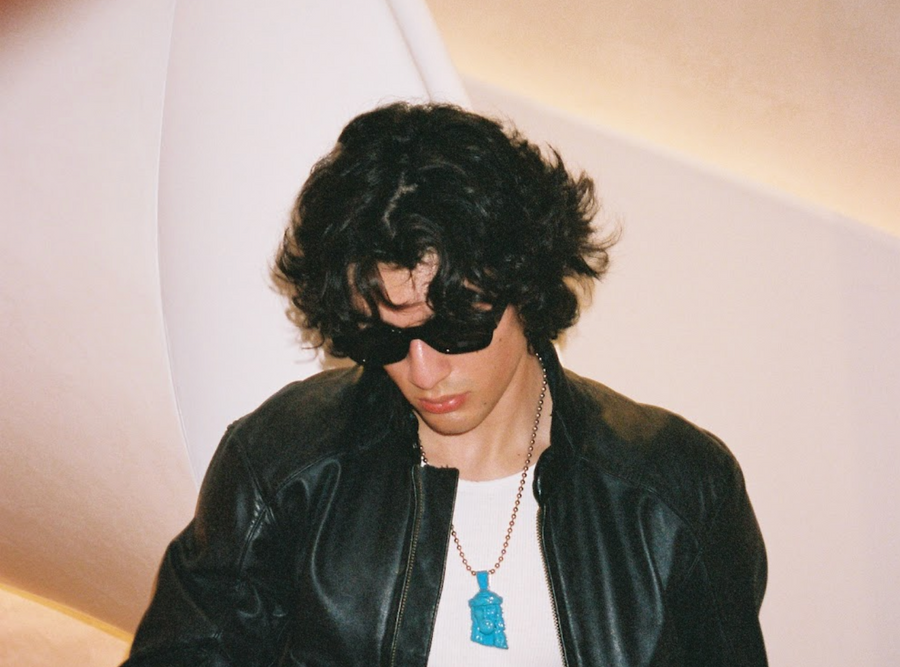 THE MUSE SUNGLASSES